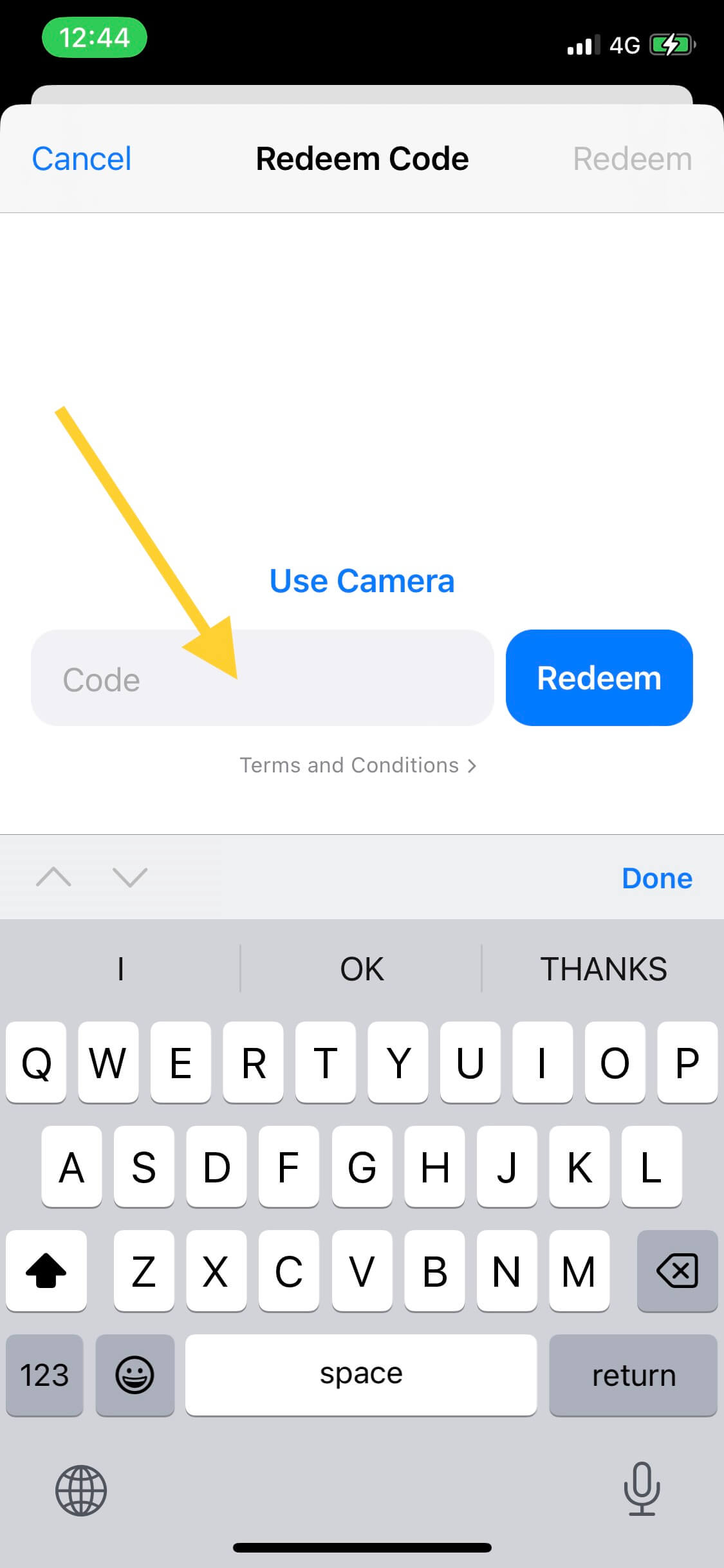 iOS promo code redemption screen with text field for entering code and blue Redeem button to activate discount